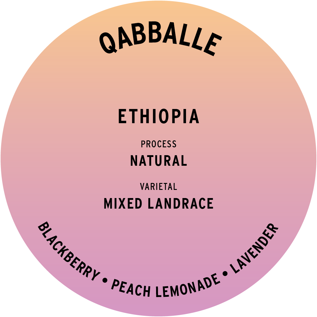 Ethiopia Qabballe coffee bag