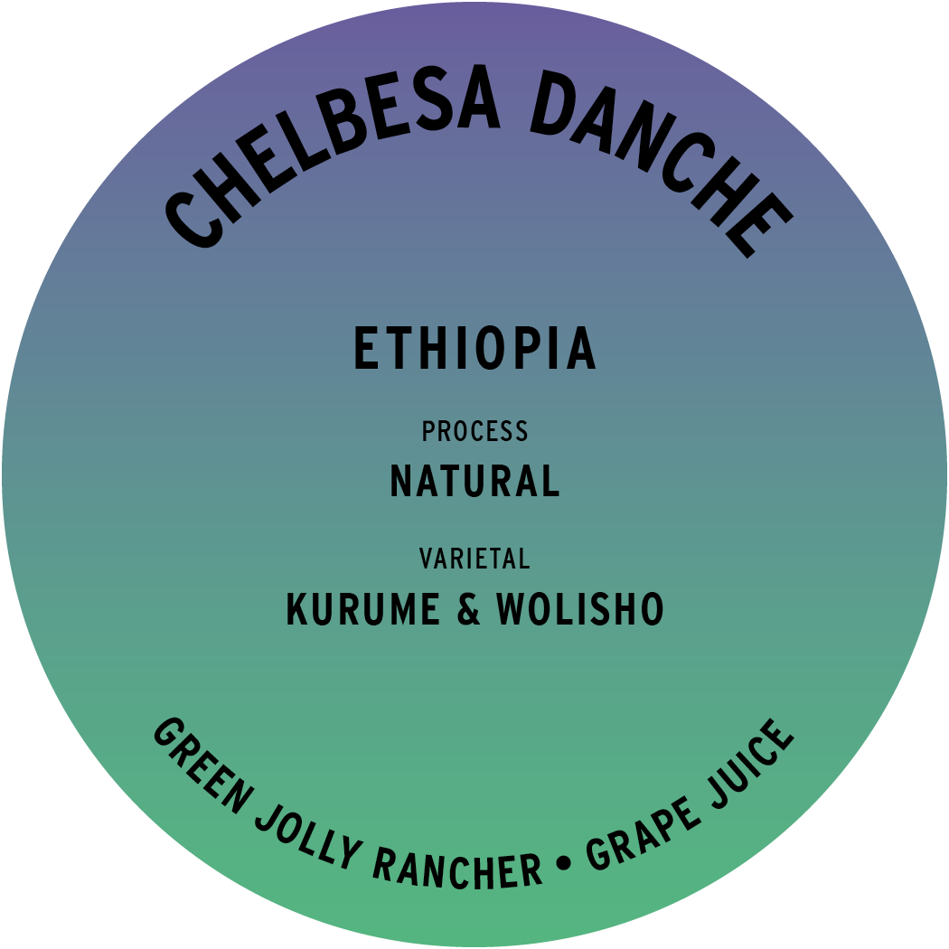 Ethiopia Chelbesa Danche