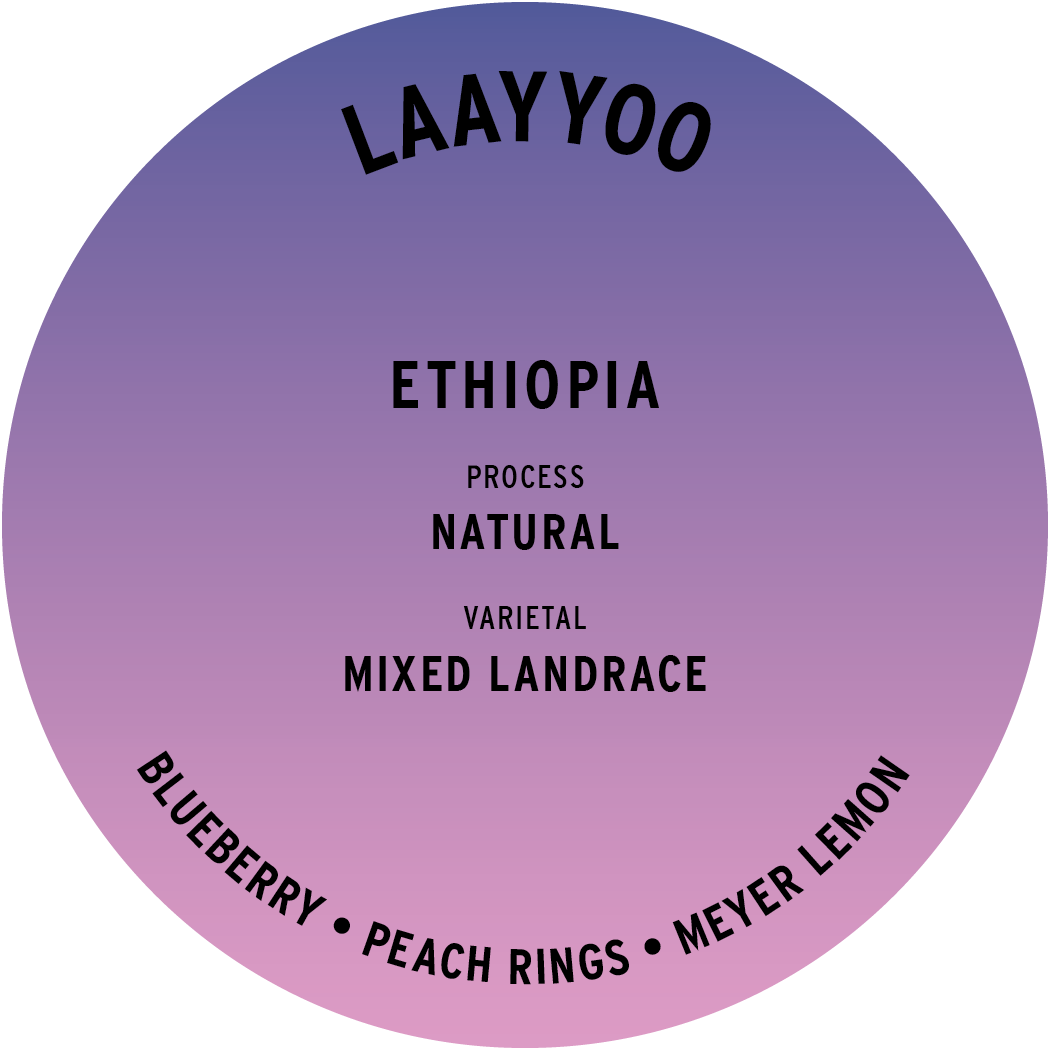 Ethiopia Laayyoo