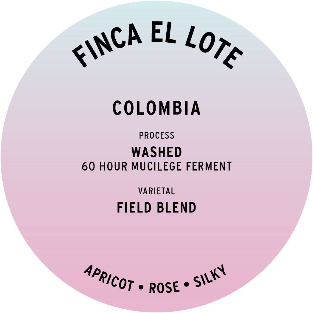 Colombia Finca el Lote