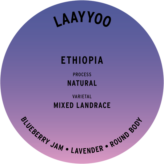 Ethiopia Laayyoo