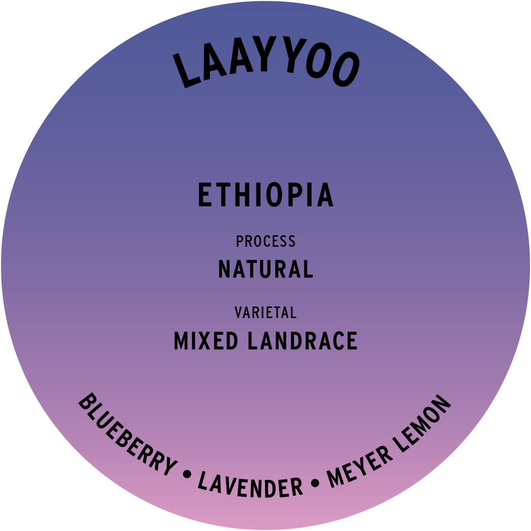 Ethiopia Laayyoo