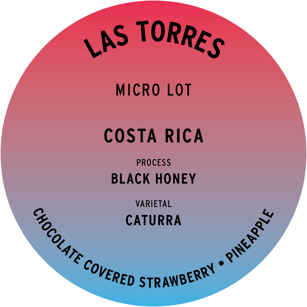 Costa Rica Las Torres