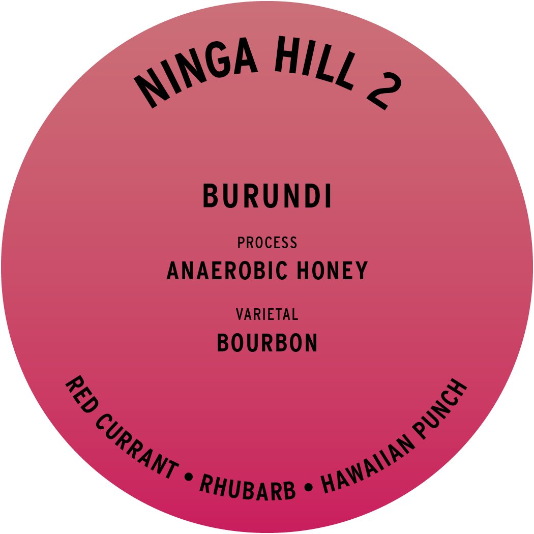 Burundi Ninga Hill 2