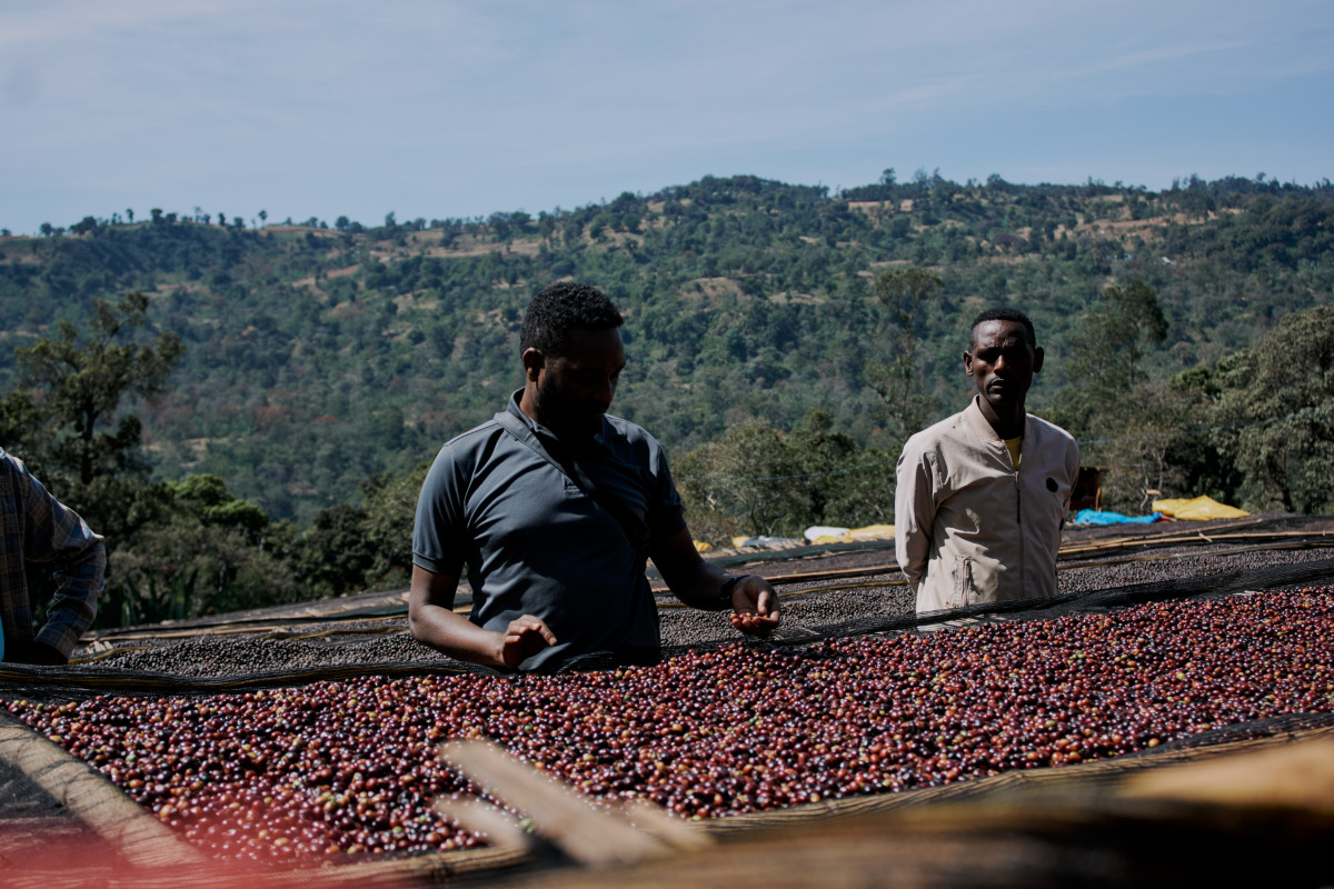 Ethiopia Qabballe