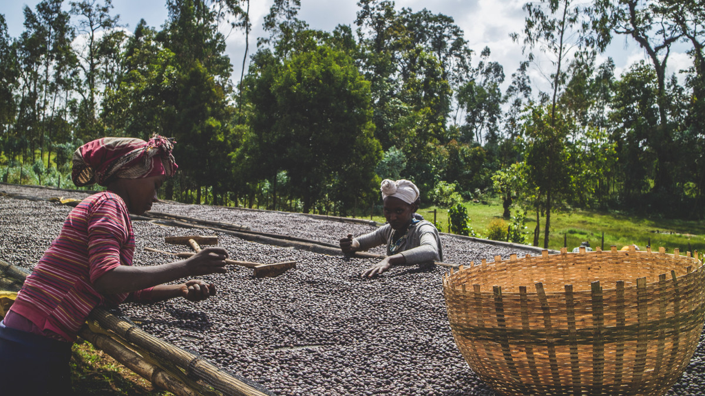 Ethiopia Qabballe