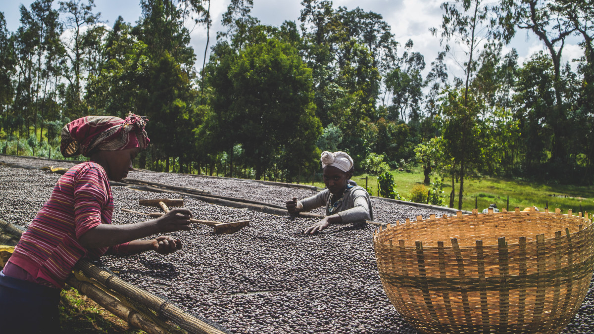 Ethiopia Qabballe